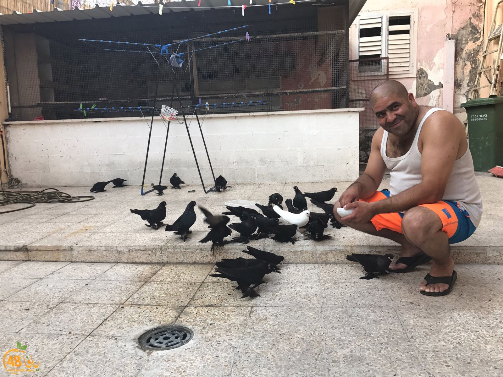 zohdi 3ashoor 7amam (6).jpg